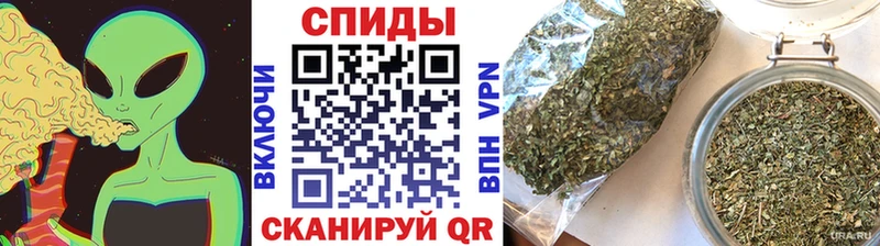 БУТИРАТ буратино  Яхрома 