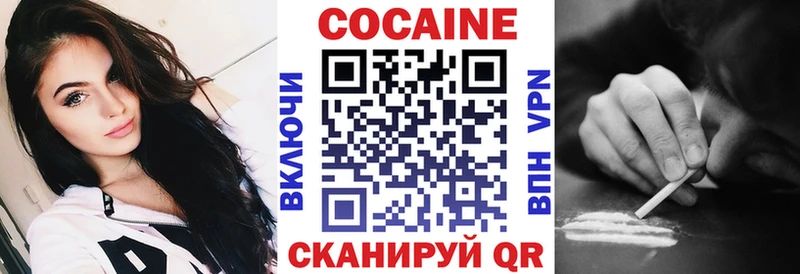 COCAIN Fish Scale  закладка  Яхрома 